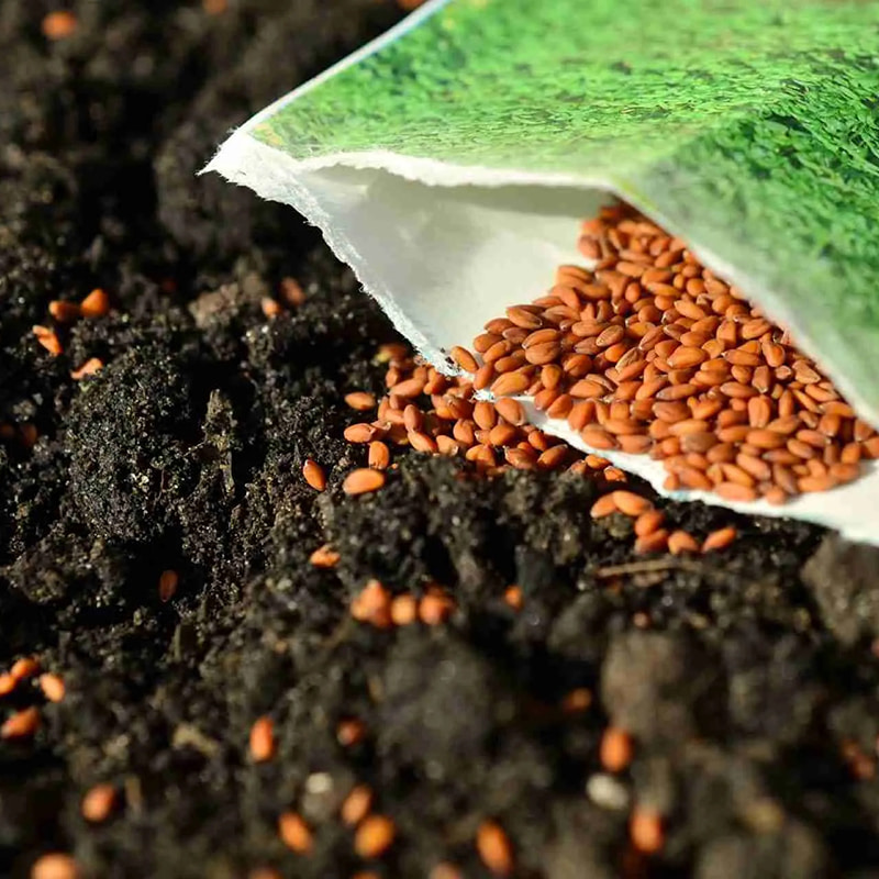 Máy ly tâm vô trùng cho hạt giống và nấm